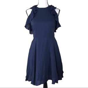 BB Dakota, Samatha Dress, NWT fit & flare size 10 & size 4